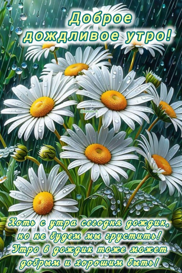 доброго дождливого летнего утра