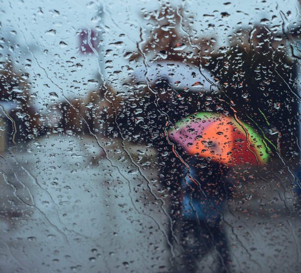 дождливые дни