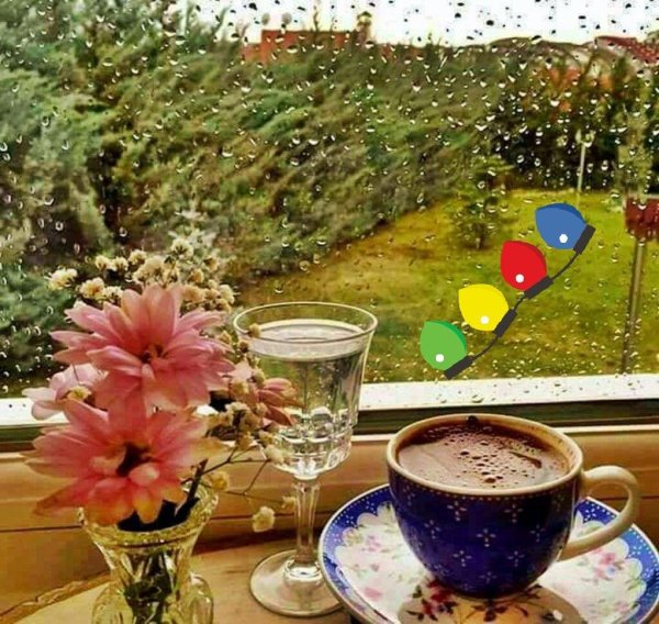 дождливого утра