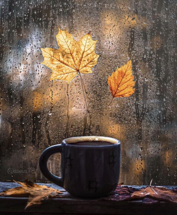 осень с дождем