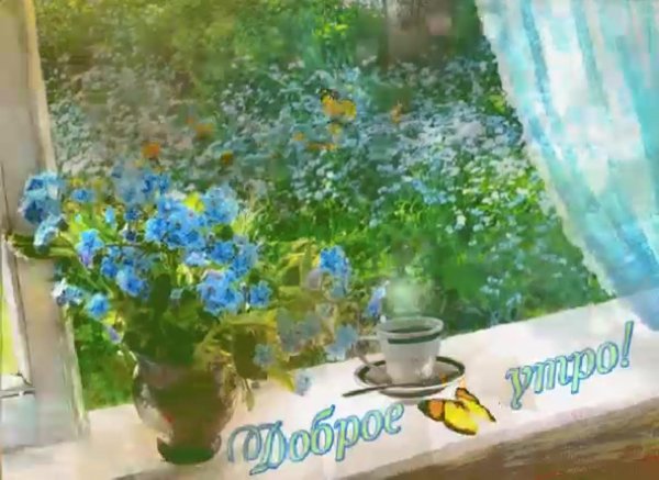 доброго дождливого летнего утра