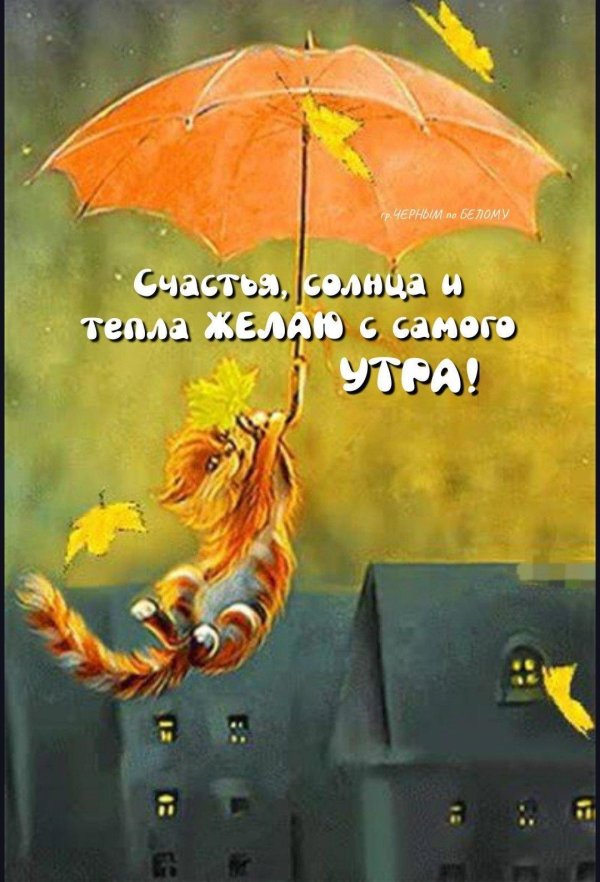 счастье солнце