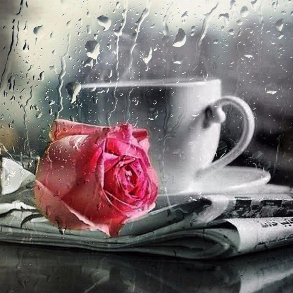 доброго дождливого утра