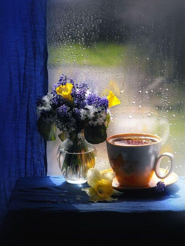 летнего дождливого вечера