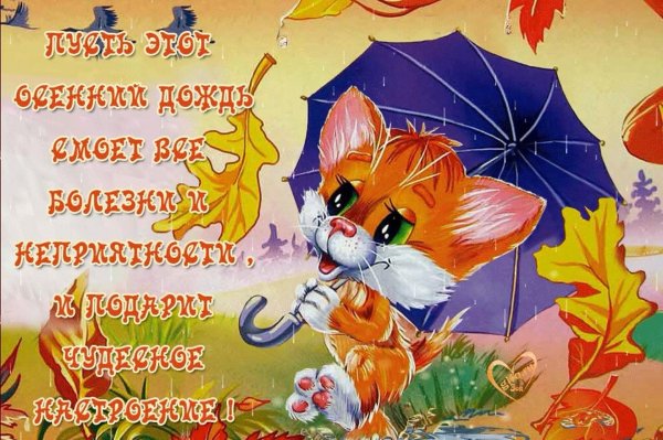 хорошего настроения в дождливую осень