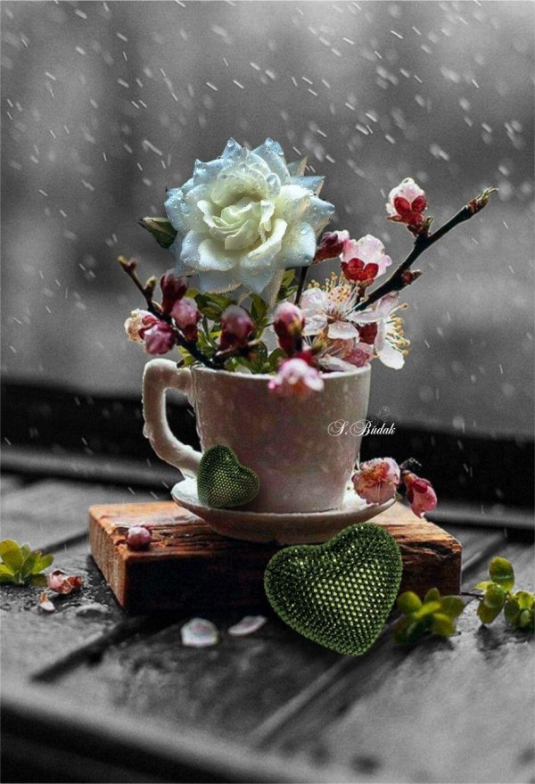 дождливого утра