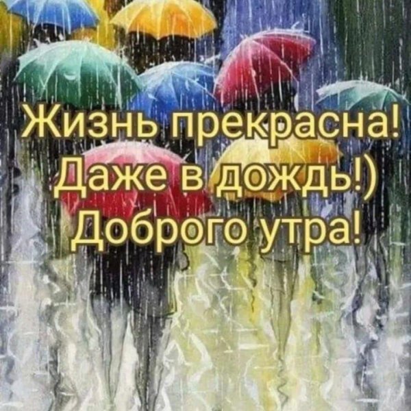 доброго дождливого утра