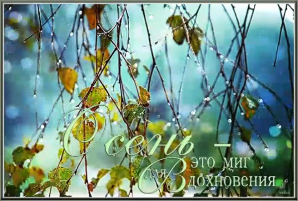 осень дожди