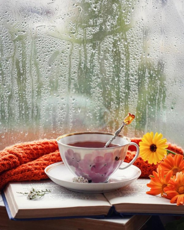 осеннее чаепитие