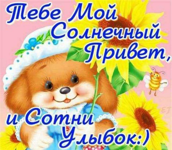 солнышко привет