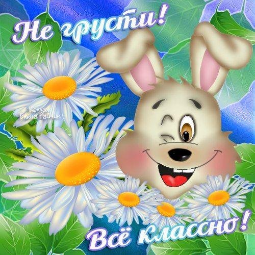 с ромашками