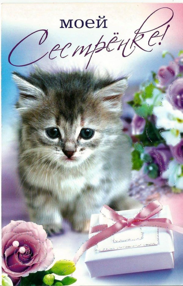 любимой сестричке