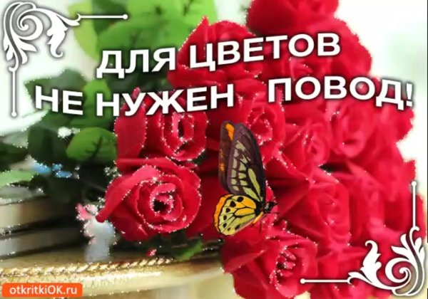 цветы без повода