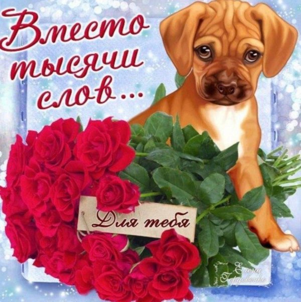 вместо тысячи слов