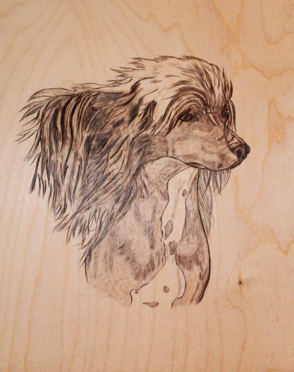 выжигание рисунки