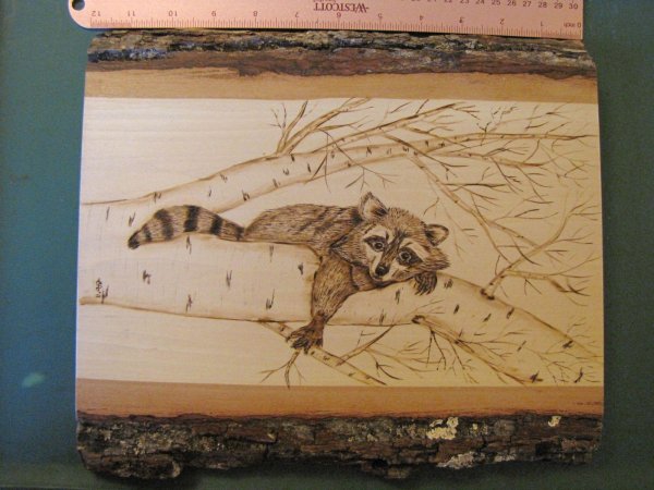 картина енот