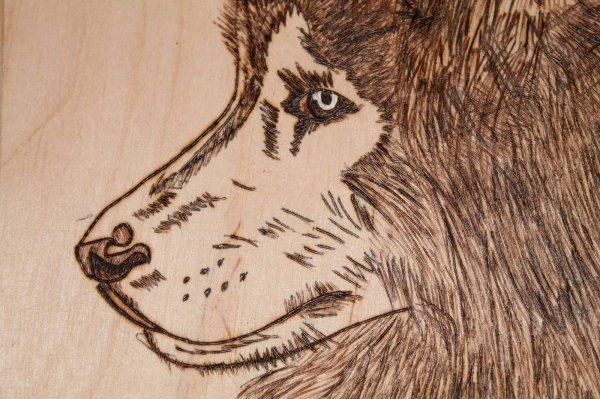 рисунки для выжигания на фанере