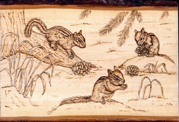 выжигание по дереву идеи