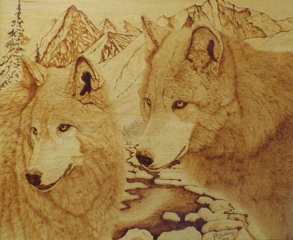 пирография выжигание по дереву волк