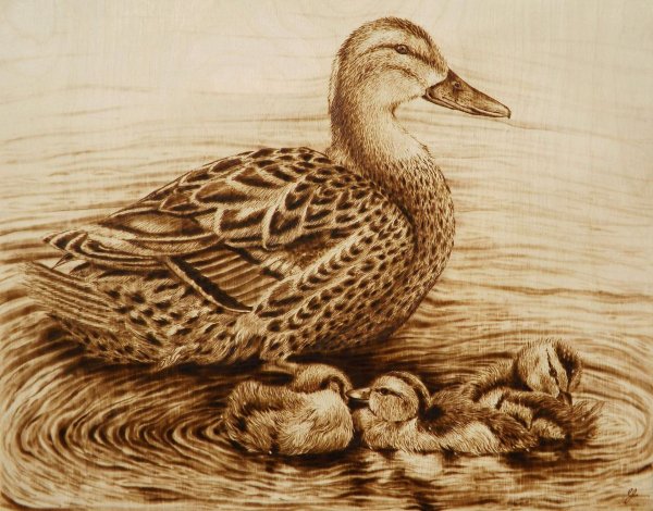 выжигание по дереву