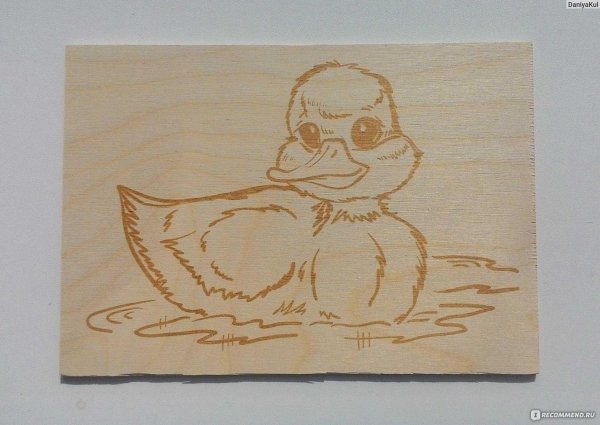 доски для выжигания 2 шт совенок и щенок дк 01775