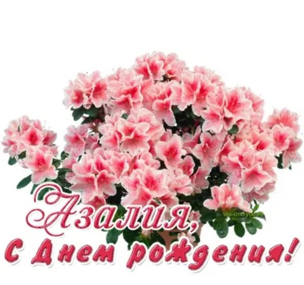 поздравление с днём рождения азалия
