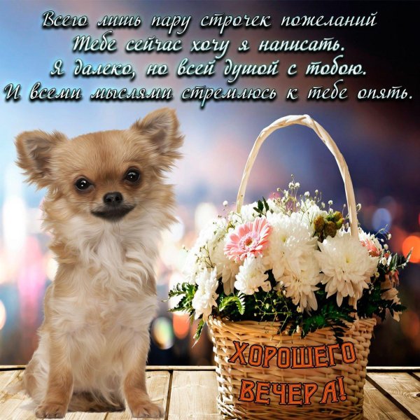 доброго вечера открытка