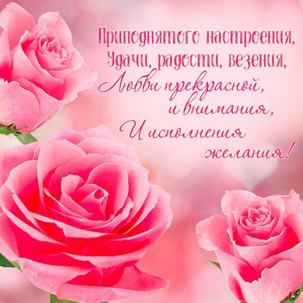 поздравления и пожелания