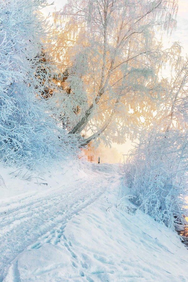 красивые зимние пейзажи