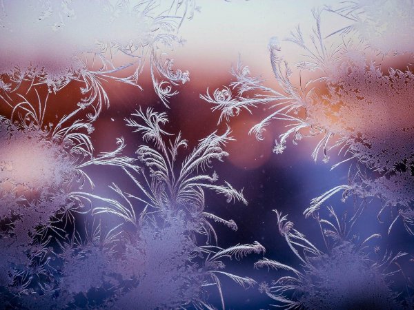 морозные узоры