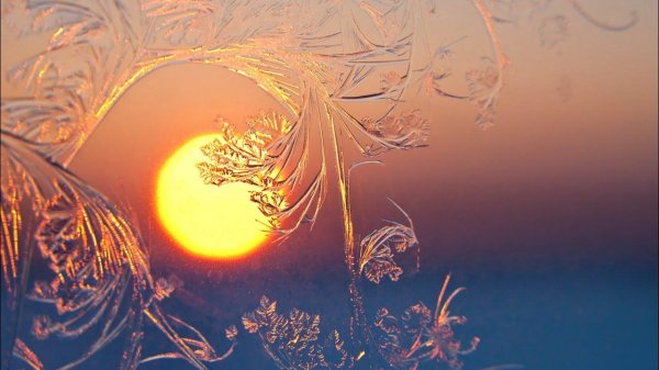 морозные узоры