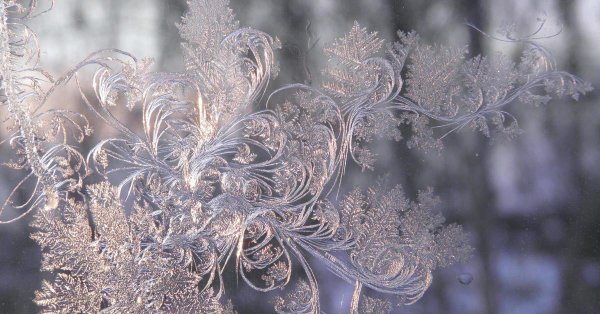 морозные узоры