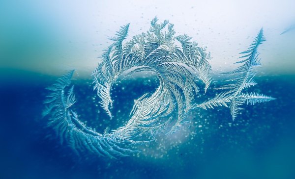 морозные узоры