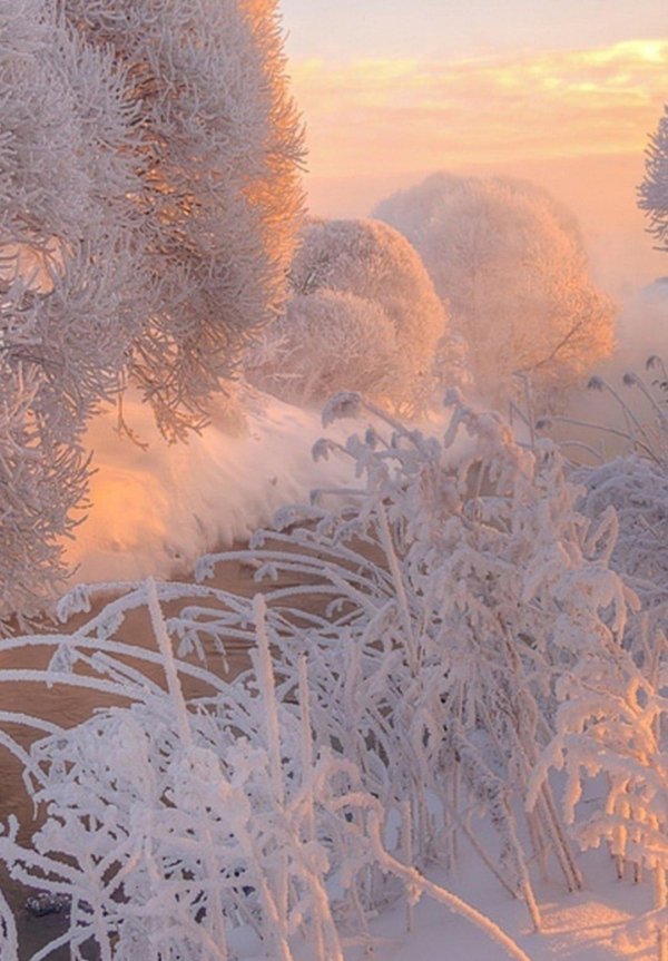 утро морозное