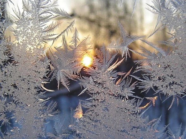 морозное окно