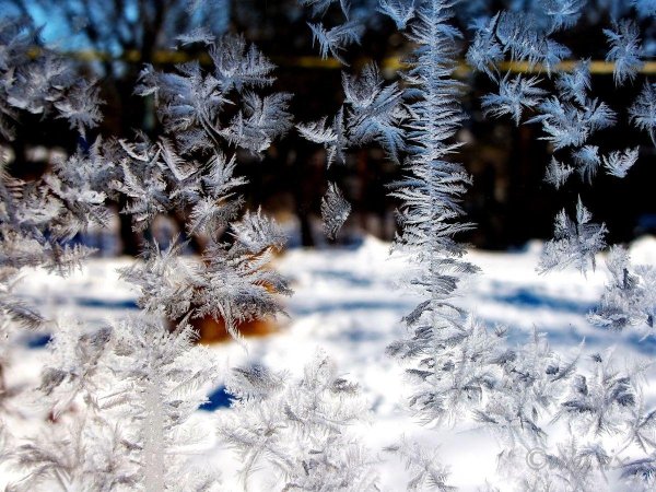 морозная зима