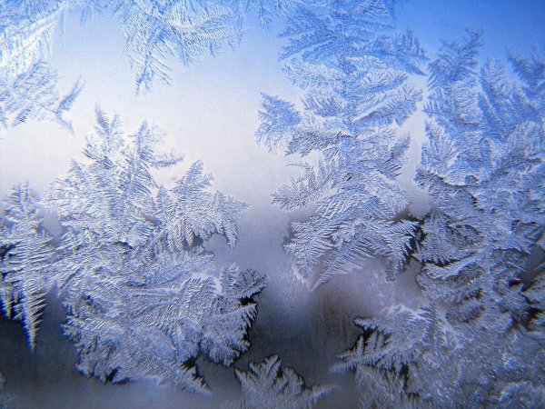 морозные узоры