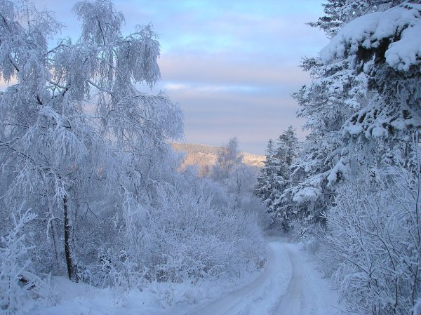 зима сибирь