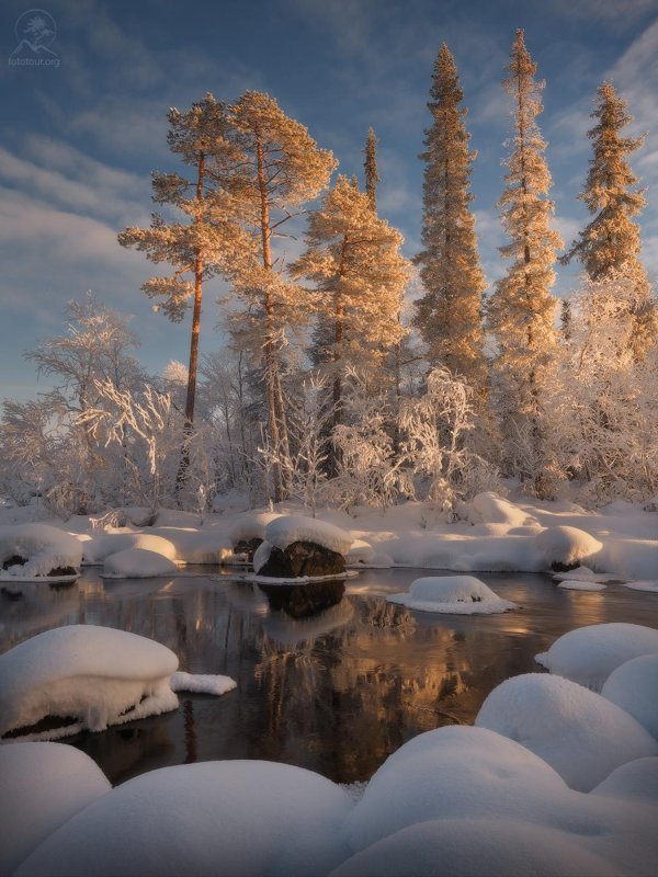 снежные пейзажи
