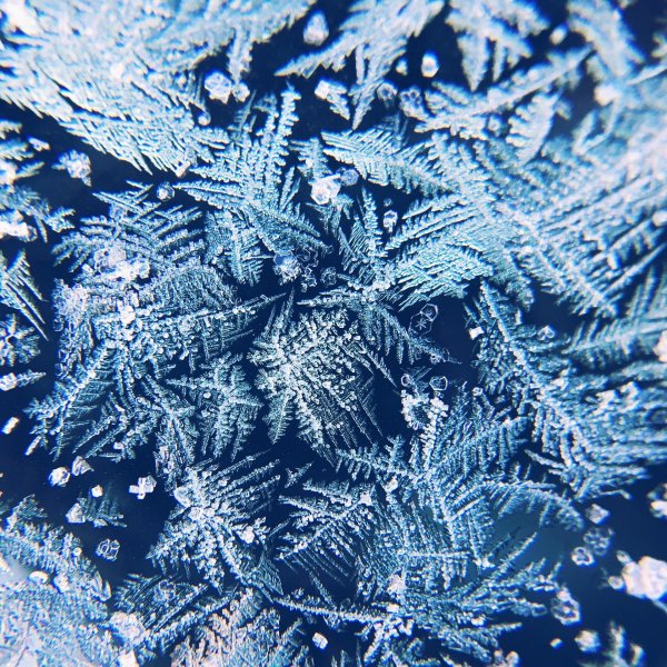 морозные узоры