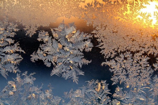 морозные узоры