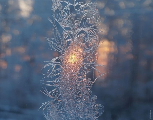 морозные узоры