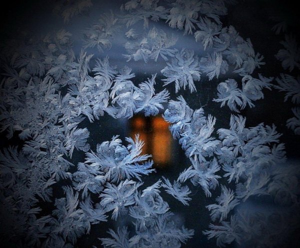 морозные узоры