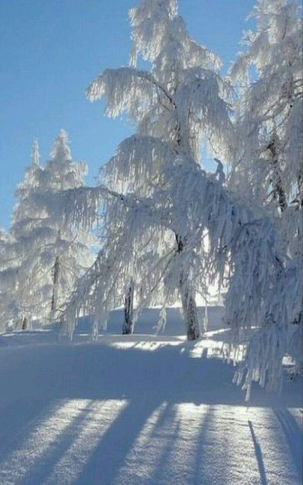 природа зимняя