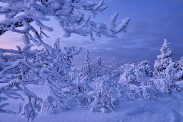 лапландия финляндия природа