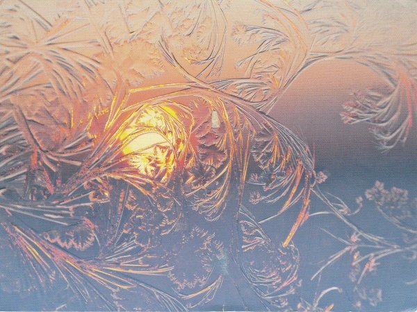 морозные узоры