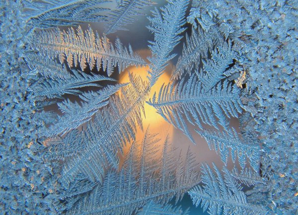 морозные узоры