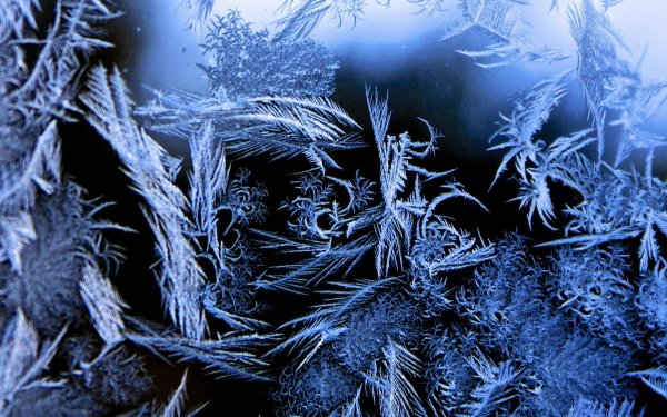 мороз на окнах