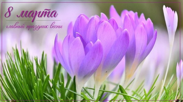 поздравление с праздником весны