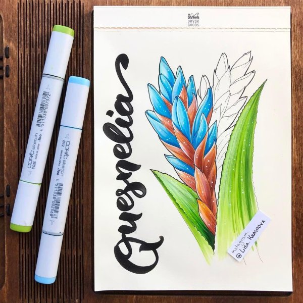 скетч маркеры рисунки